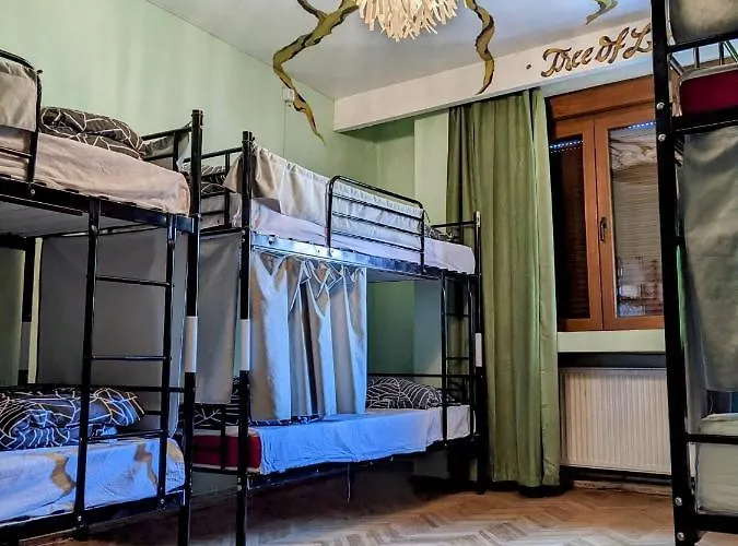 بيت شباب Re-born *