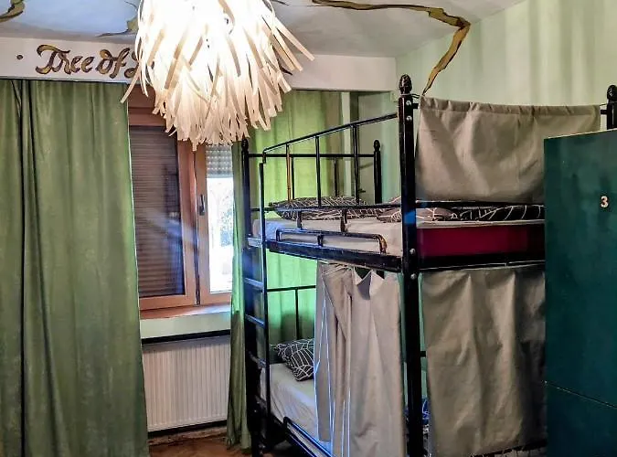 بيت شباب Re-born *