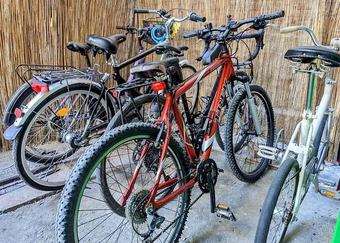 אכסניה Re-born